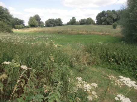 Rees : Bergswick, Landschaft am Reeser Meer